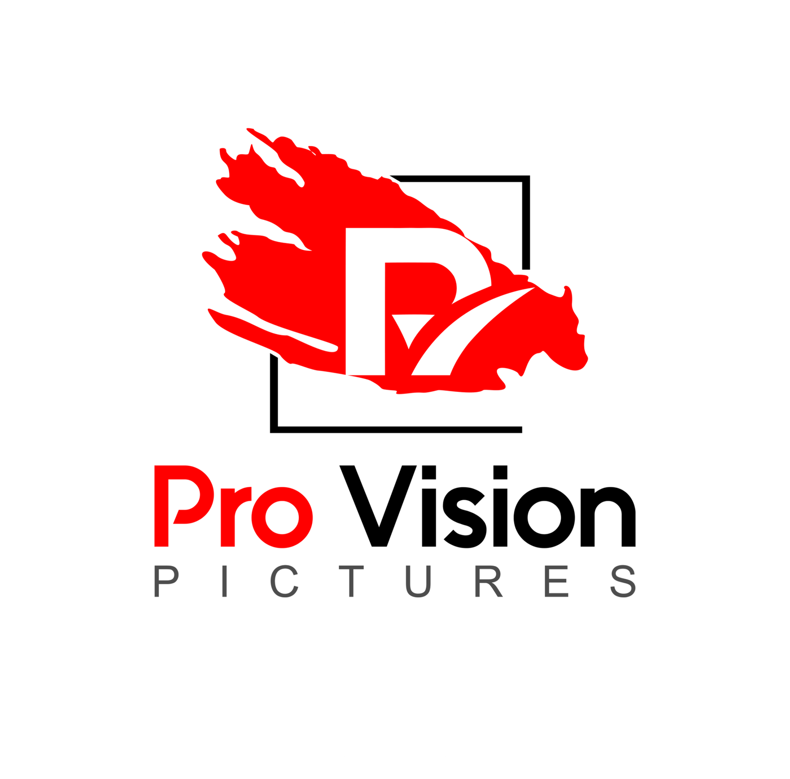 Pro Vision Pictures Logo