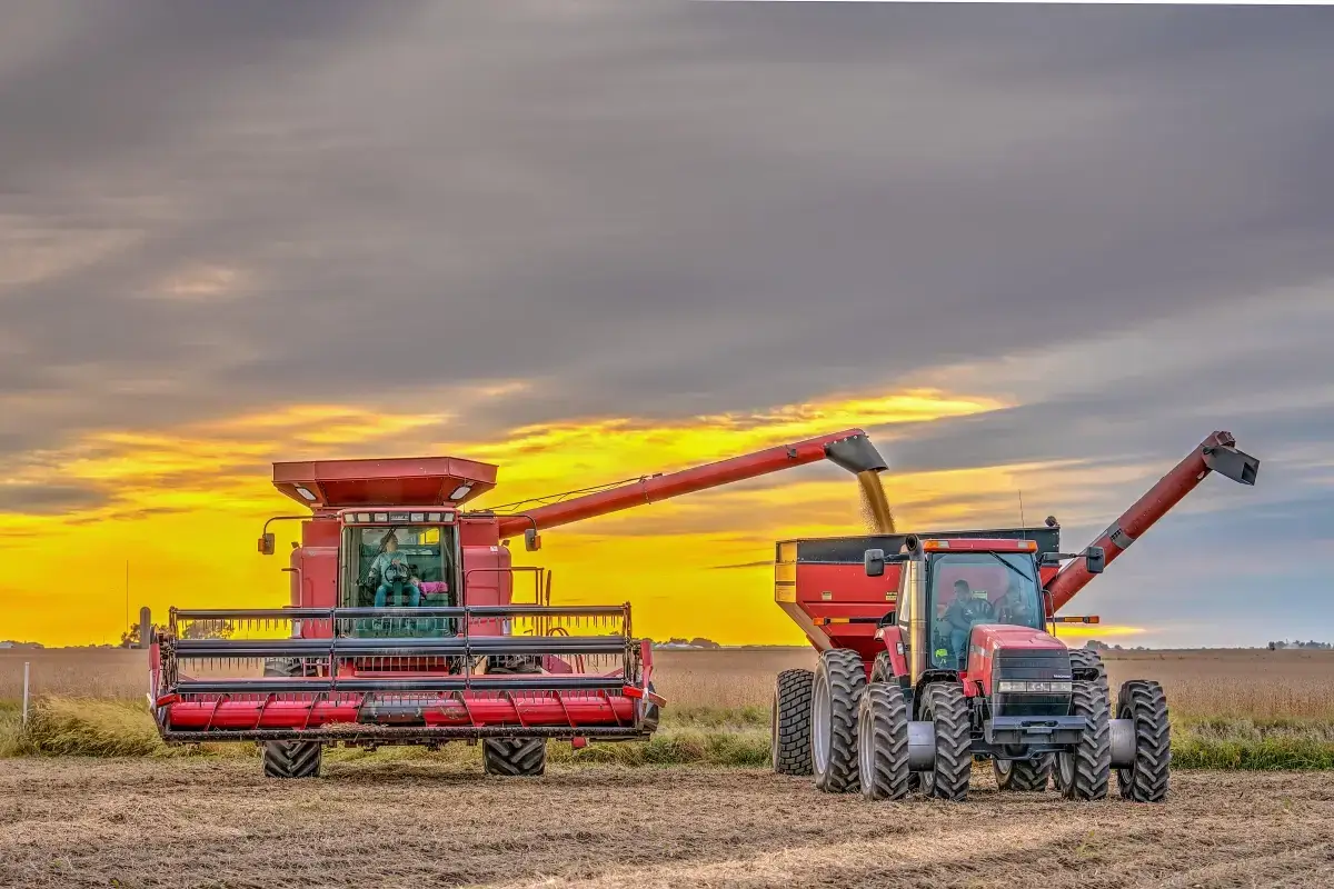 Case IH combine unloading into a grain cart at sunset during soybean harvest, Central Illinois
